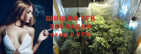 PSILOCYBIN Армянск