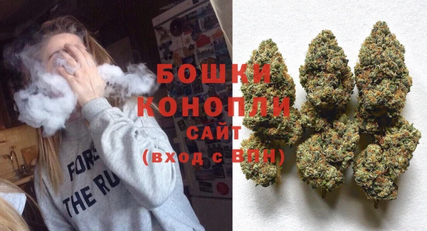 PSILOCYBIN Армянск
