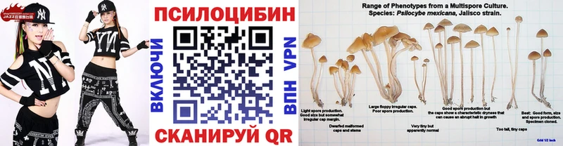Галлюциногенные грибы MAGIC MUSHROOMS  Приморск 